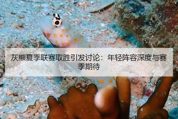 灰熊夏季联赛取胜引发讨论：年轻阵容深度与赛季期待（6686sports）