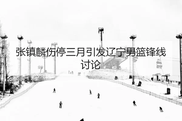 张镇麟伤停三月引发辽宁男篮锋线讨论